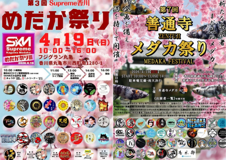 丸亀市と善通寺市で「めだか祭り」が2026年4月19日(日)に同時開催！週末はメダカが激アツ！豪華出店者も一挙紹介